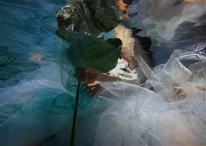 Image description is not available for 2024.024